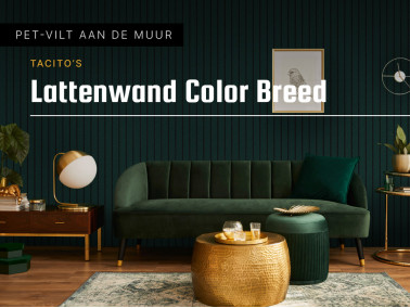 Lattenwand wandpaneel Color breed